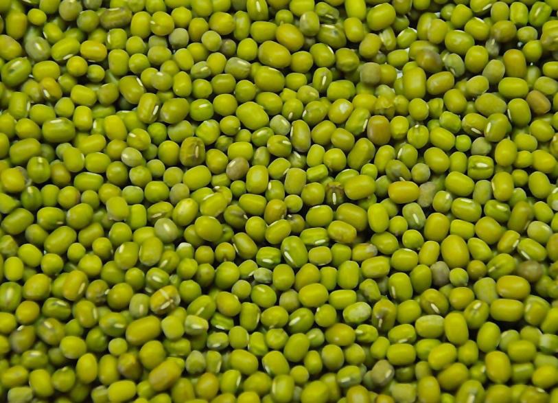 Cleaned Green Mung Beans