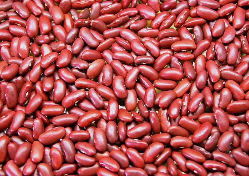 High Polish Red Kidney Beans