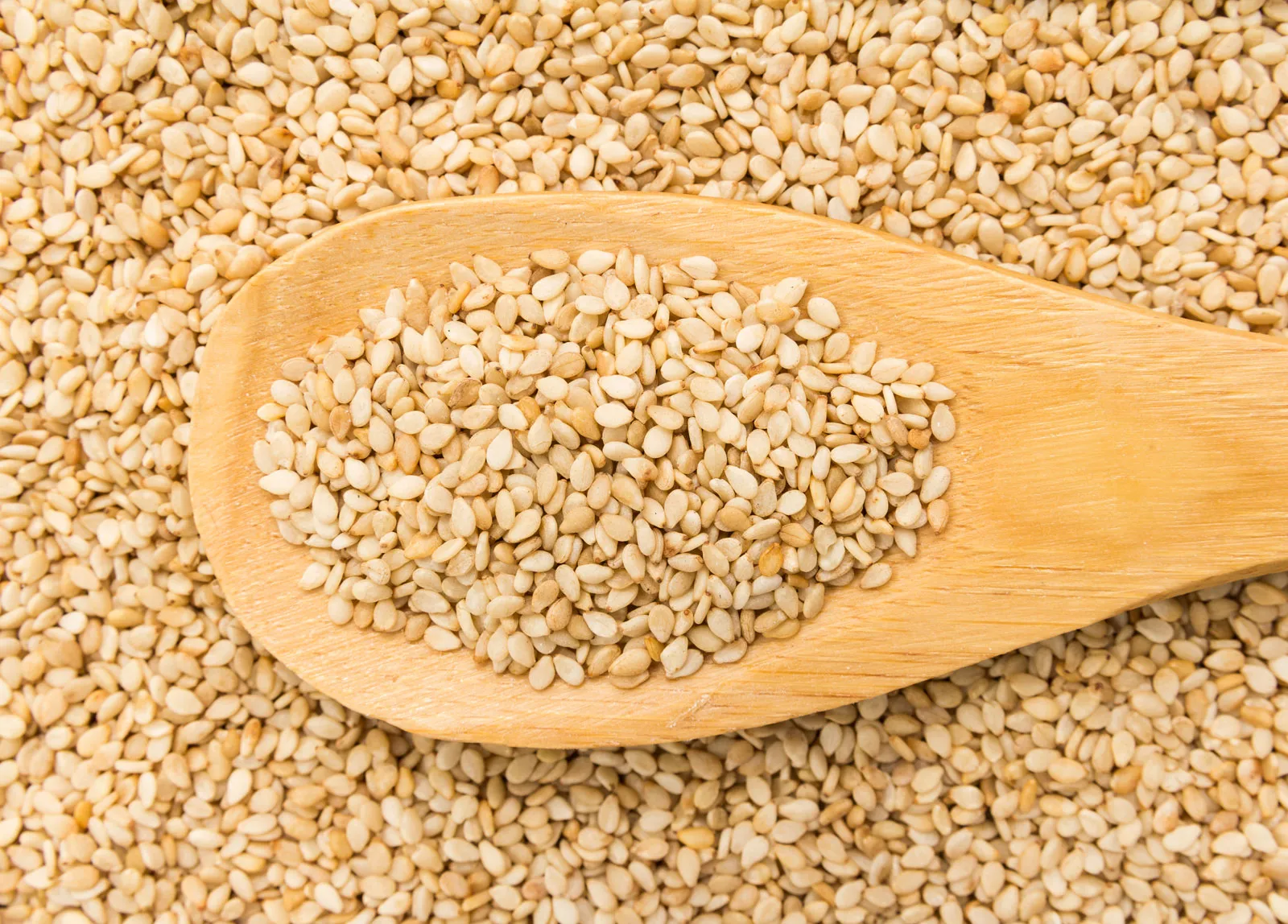Premium Sesame Seeds ready for export