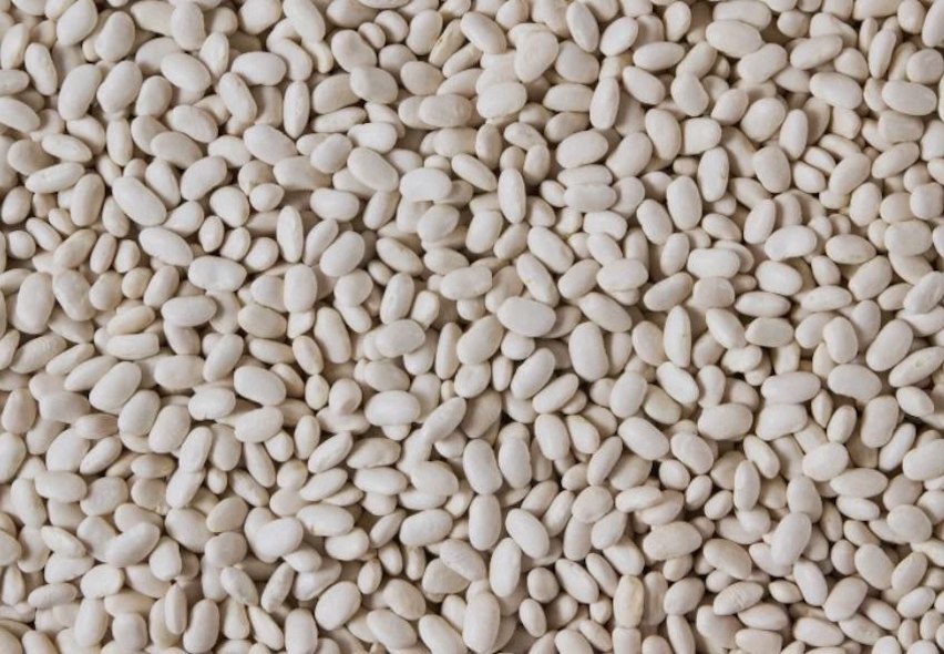 Export quality Pigeon Peas
